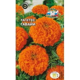 Тагетес Гавайи