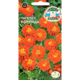Тагетес Коррида