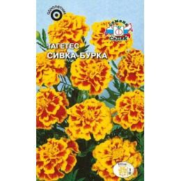 Тагетес Сивка-Бурка