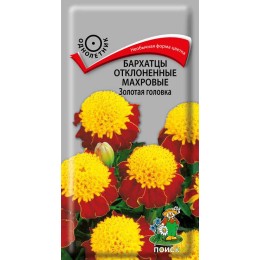 Бархатцы отклоненные Золотая головка махровые