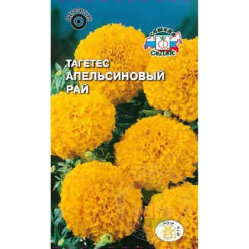 Тагетес Апельсиновый рай