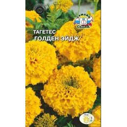 Тагетес Голден Эйдж
