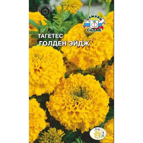 Тагетес Голден Эйдж
