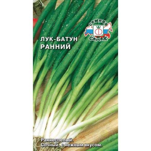 Лук-батун Ранний