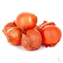 Лук-шалот Ред Сан