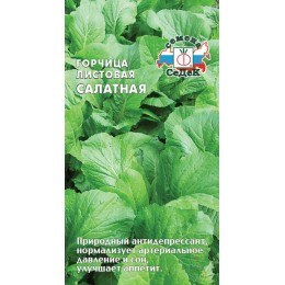 Горчица Салатная