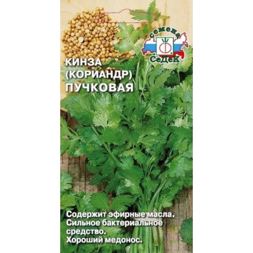 Кориандр (кинза) Пучковая