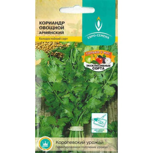 Кориандр Армянский