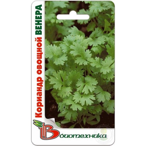 Кориандр Венера
