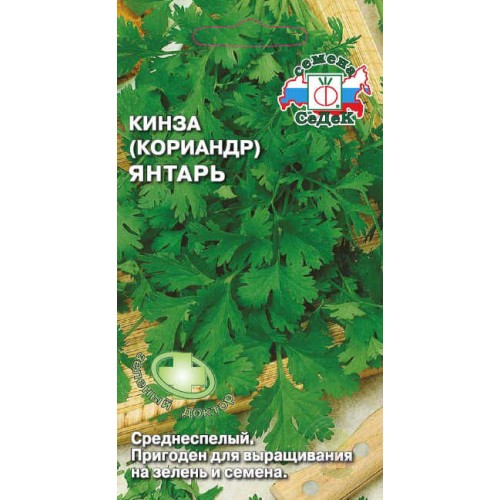 Кориандр Янтарь