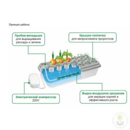 Гидропонная установка Здоровья КЛАД Домашняя чудо-грядка