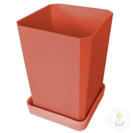 Набор горшков для рассады французская роза