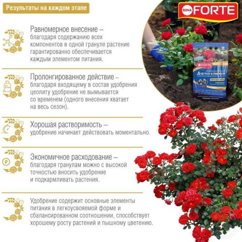 Грунт для роз и пионов Bona Forte