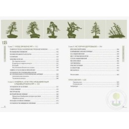 Книга Бонсай. Маленькие деревья для большой радости. Дарусенков А.О.