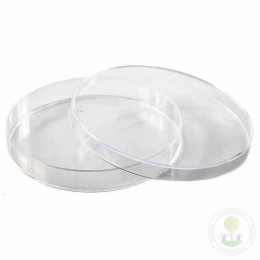 Ёмкость для проращивания семян