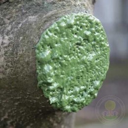 Био-бальзам Robin Green аэрозоль