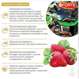 Удобрение для клубники и ягод пролонгированное Bona Forte