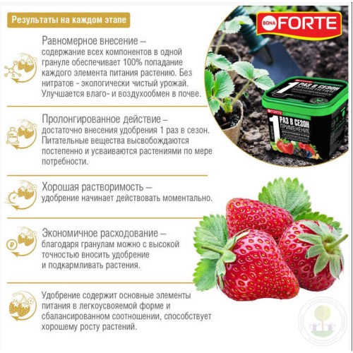 Удобрение для клубники и ягод пролонгированное Bona Forte