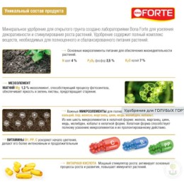 Удобрение для гортензий голубых Bona Forte жидкое