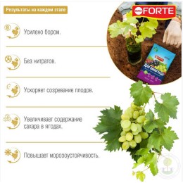 Удобрение для винограда весна-лето Bona Forte