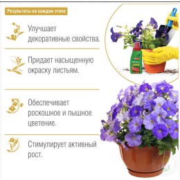 Удобрение для комнатных растений Красота Bona Forte жидкое