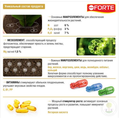Удобрение для комнатных растений Красота Bona Forte жидкое