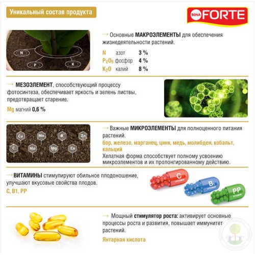 Удобрение для декоративно-цветущих Красота Bona Forte жидкое