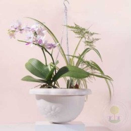 Кашпо подвесное белое круглое с цепочкой