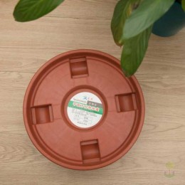 Поддон пластиковый на колесах терракотовый