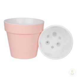 Горшок Протея розово-белый