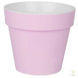 Горшок Протея розово-вересковый