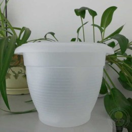 Горшок Терра прозрачный